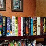 Shelf of new books