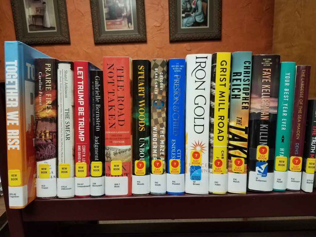 Shelf of new books