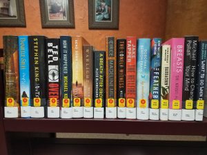 Shelf of new books