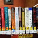 Shelf of new books