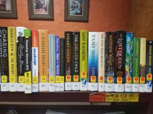 Shelf of new books