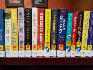 Shelf of new books