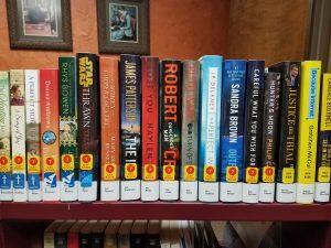 Shelf of new books