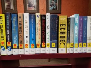 Shelf of new books